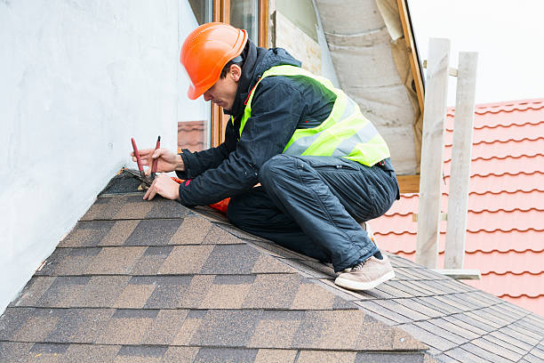 Best Roof Gutter Cleaning  in Gaston, SC
